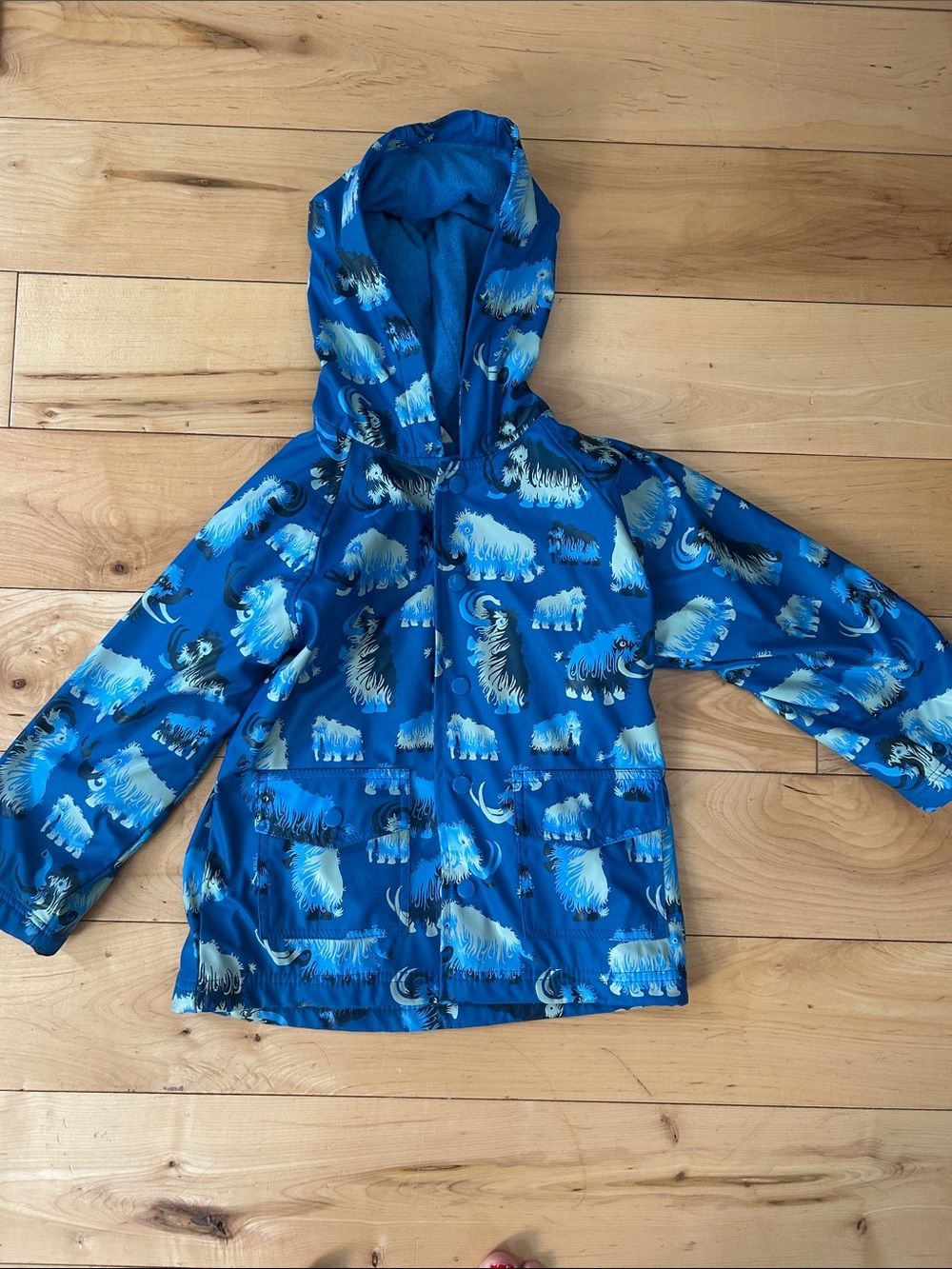 Hatley Wooly Mammoth Rain Jacket 5T